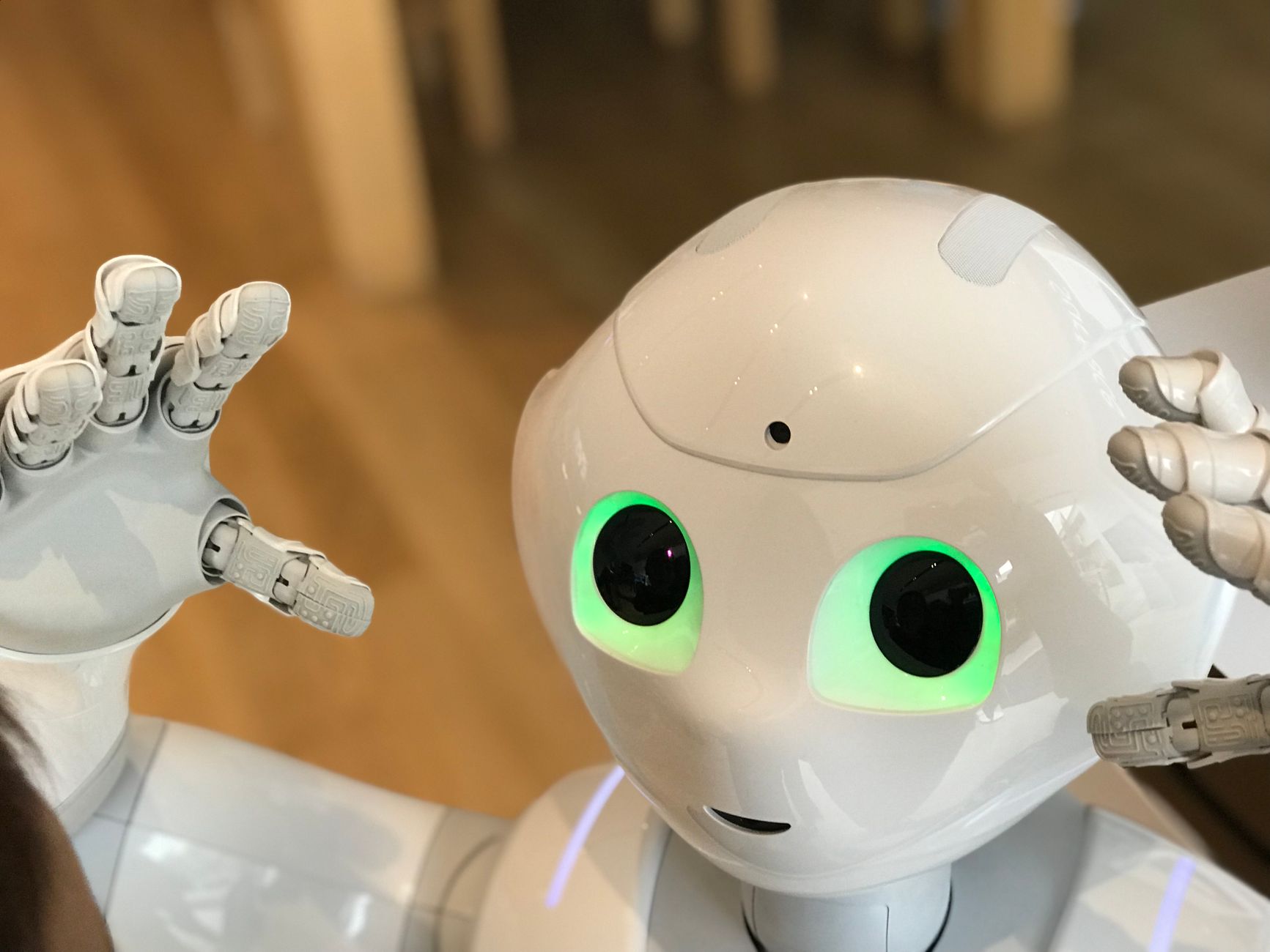 Robôs com empatia: posso realmente entender o que você sente?